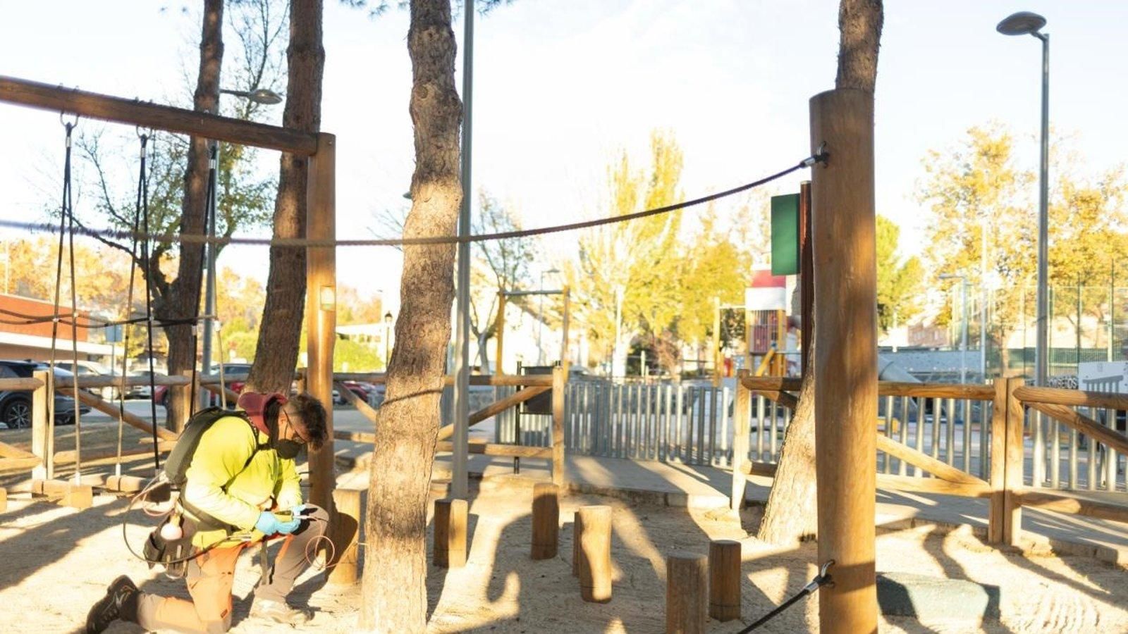 Arranca la campaña de prevención contra la oruga procesionaria mediante endoterapia en unos 400 pinos