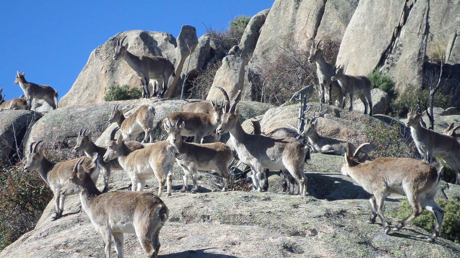 Crecen un 10,7% las ayudas regionales para contratar seguros agrarios para riesgos naturales o enfermedades contagiosas