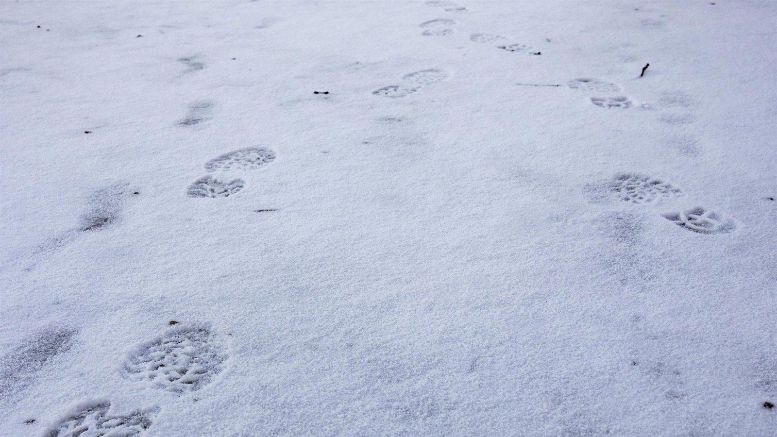 Aemet activa la alerta amarilla por nevadas en la sierra madrileña