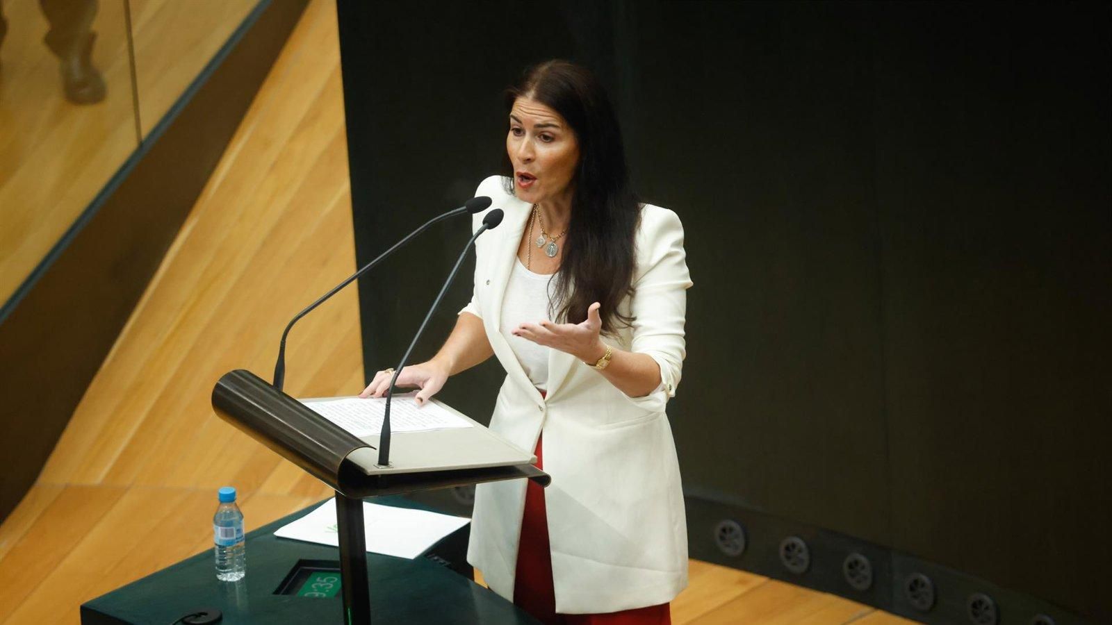 El Ayuntamiento rechaza aplicar el acuerdo de Vox sobre el aborto por ser “inviable jurídicamente”