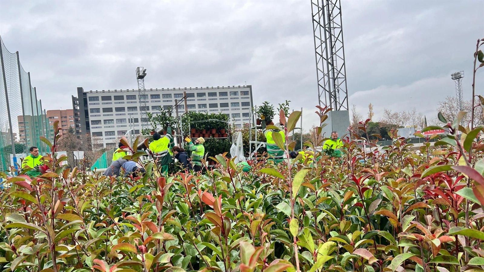 La Comunidad de Madrid impulsa la regeneración vegetal de Soto de Viñuelas tras el incendio de Tres Cantos