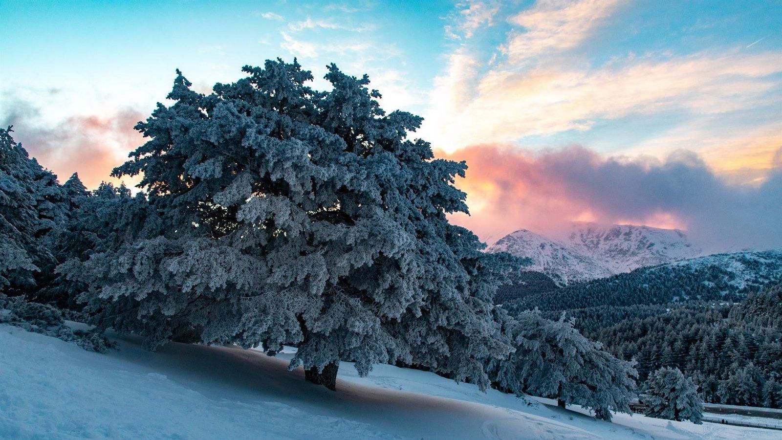 Mercados de Navidad con artesanía y gastronomía en la Sierra Norte