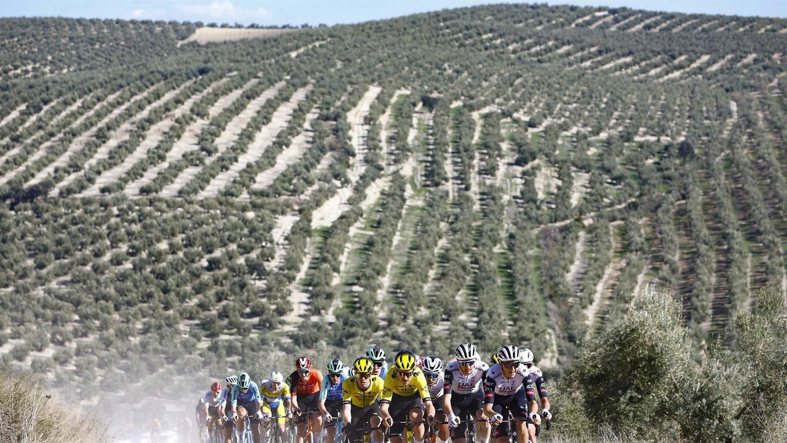 Pidcock parte como favorito en la Clásica Jaén 2026, marcada por un recorrido recortado por la lluvia