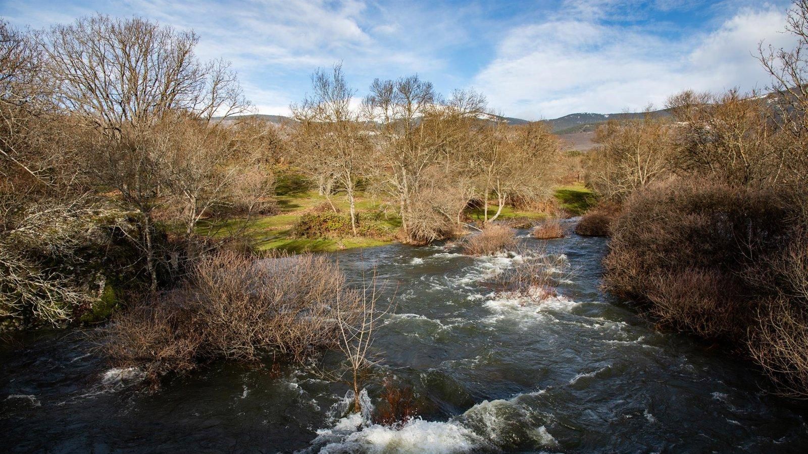 Los embalses de Madrid alcanzan el 85% mientras el Jarama y el Alberche mantienen el nivel rojo por riesgo de desbordamiento