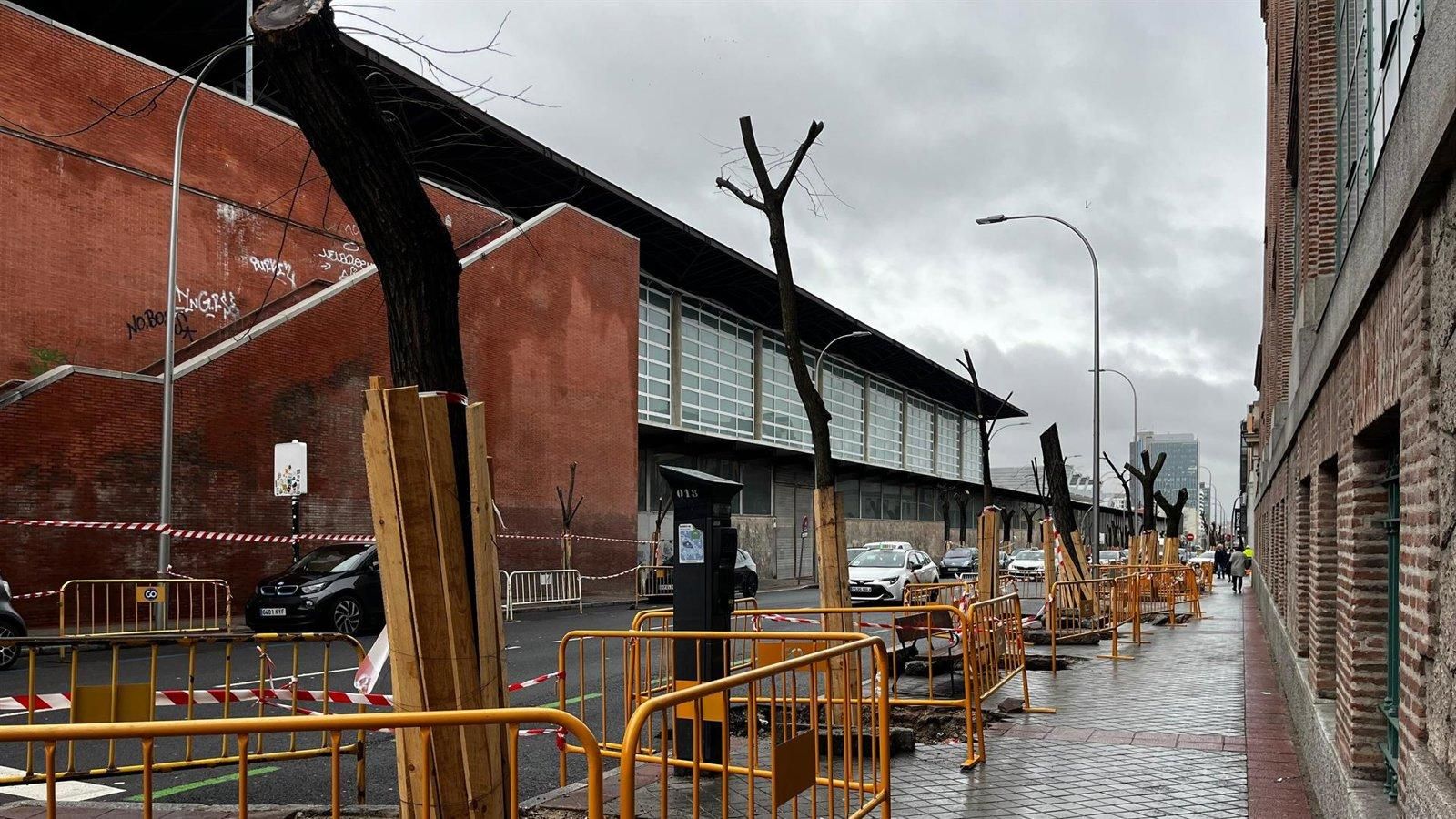 Carabante acusa a la izquierda de “contradicción permanente” por las talas en Atocha