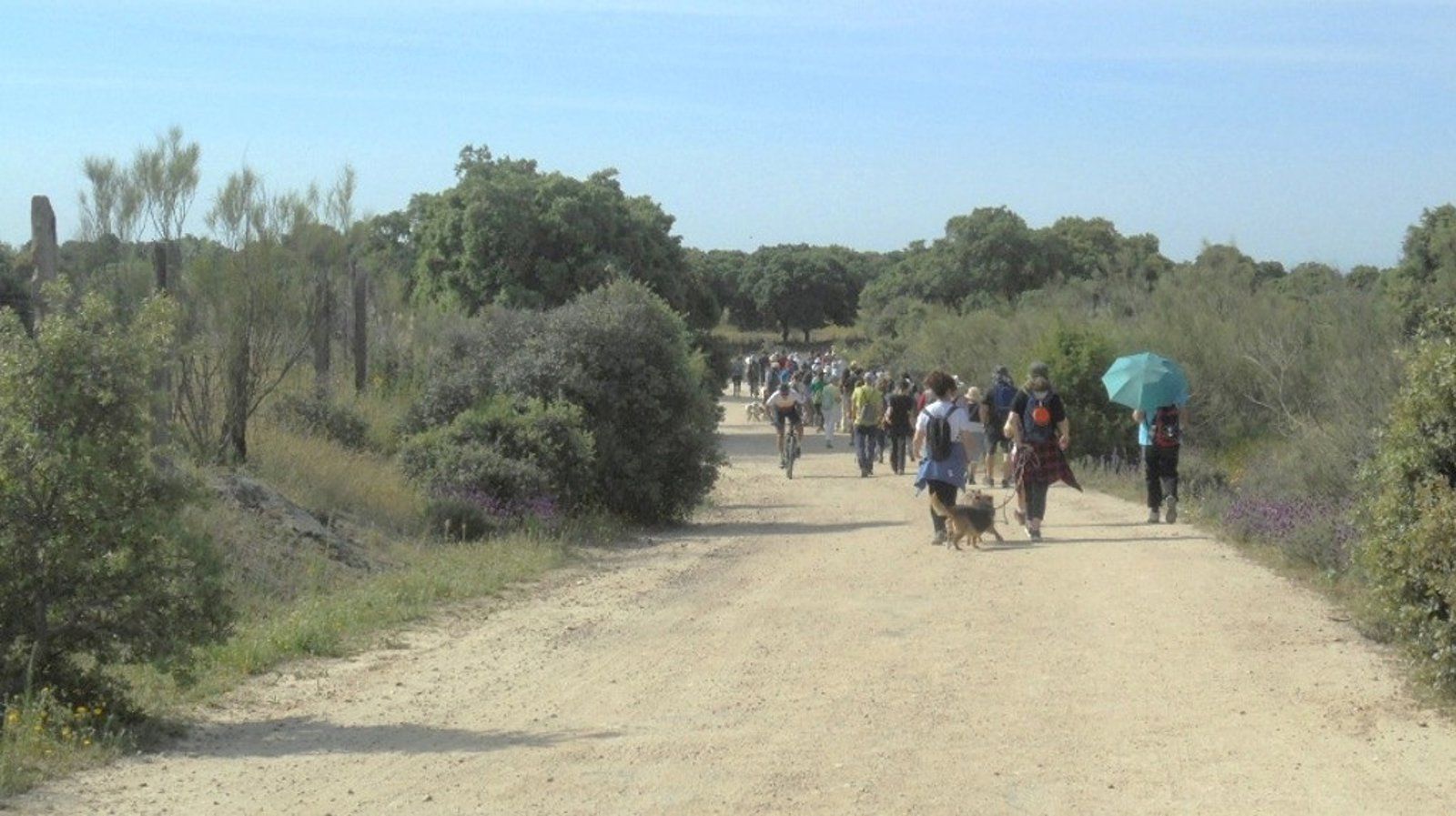 Las vías pecuarias seguirán siendo suelo protegido en la Comunidad de Madrid