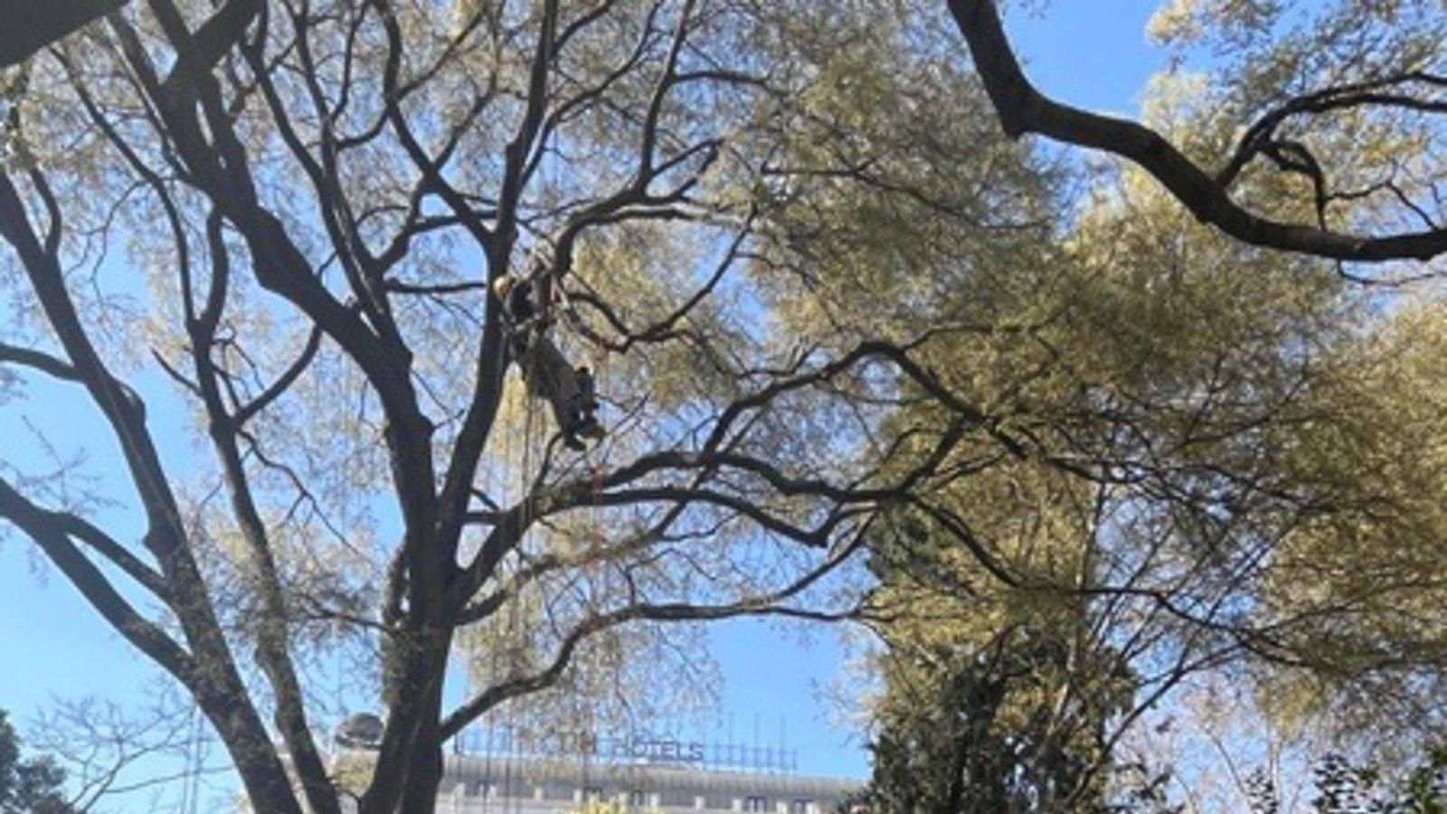 El Botánico amplía su papel formativo