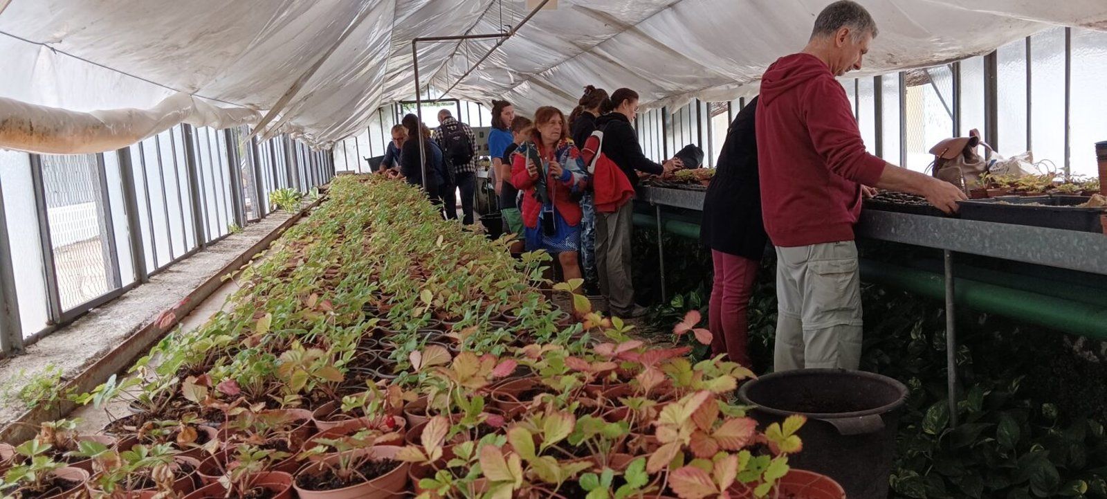 Madrid lanza más de 400 actividades gratuitas por la primavera en su programa ambiental Hábitat