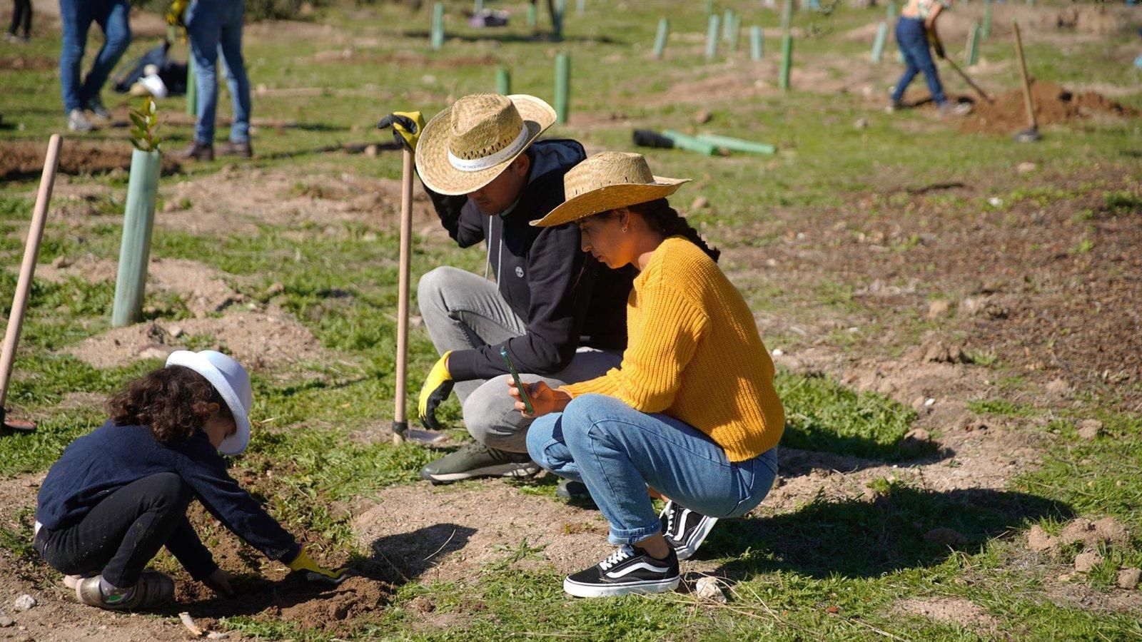 Las Rozas revalida el sello de la FAO por su arbolado urbano