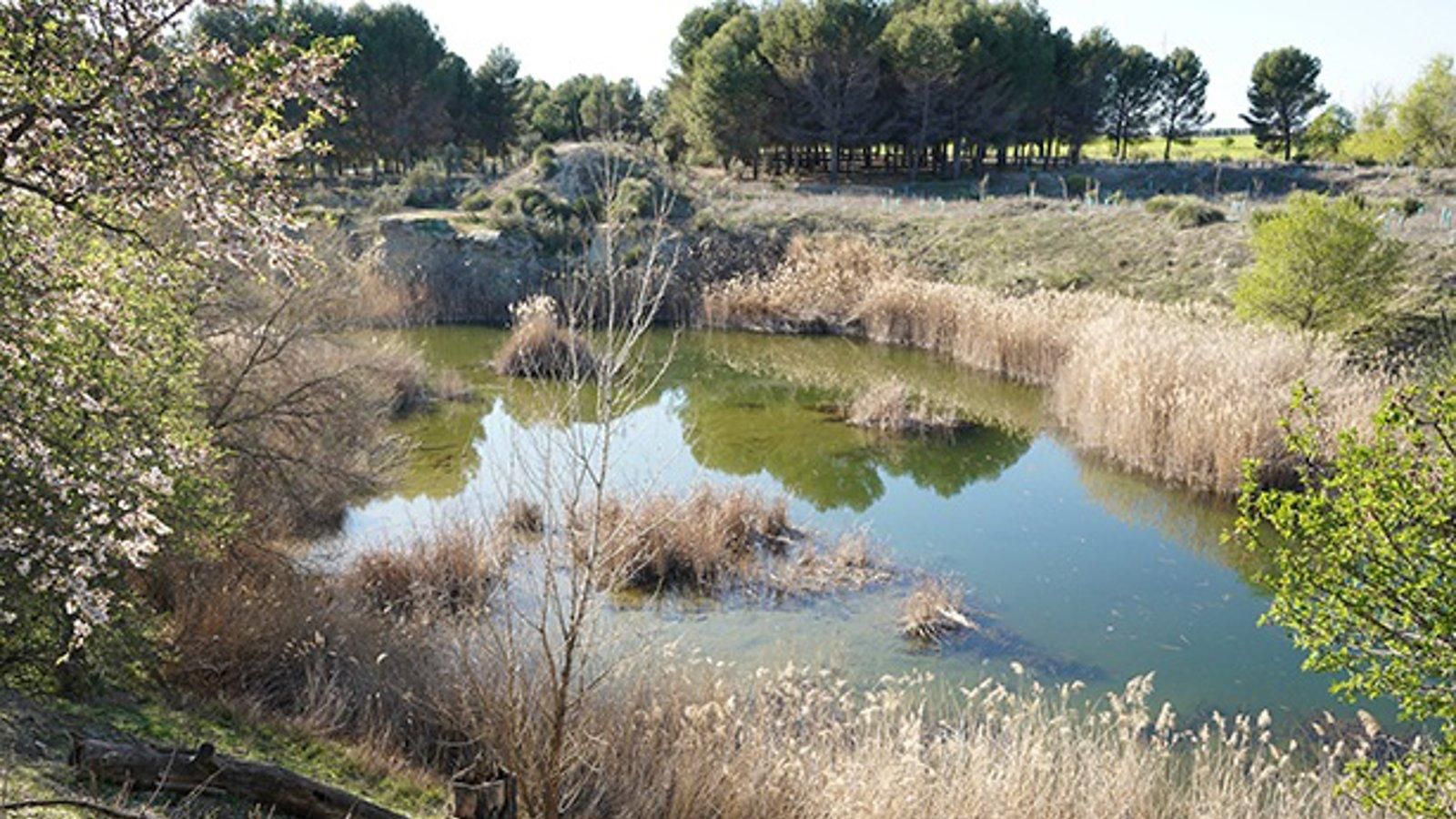 Detenidas tres personas por intentar robar vallas en las Lagunas de Horna en Getafe
