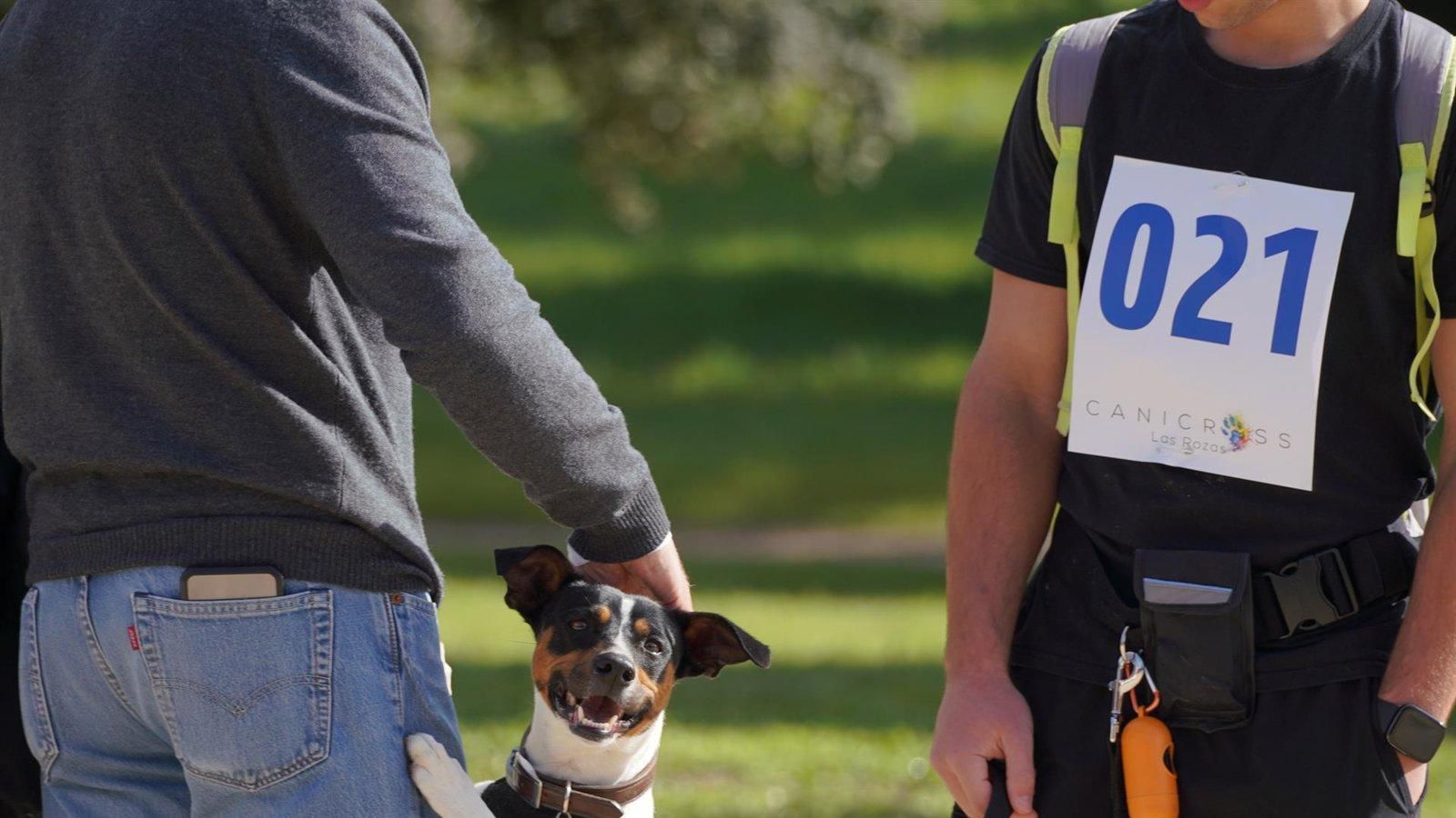 Las Rozas celebrará el 26 de abril la tercera edición de CaniCross en Navalcarbón