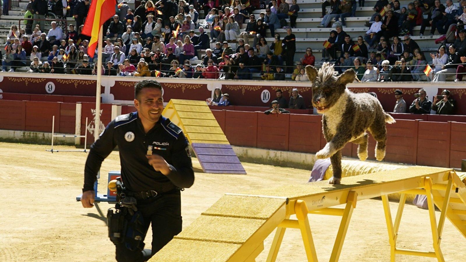 Torrejón acoge una exhibición de unidades caninas policiales y militares