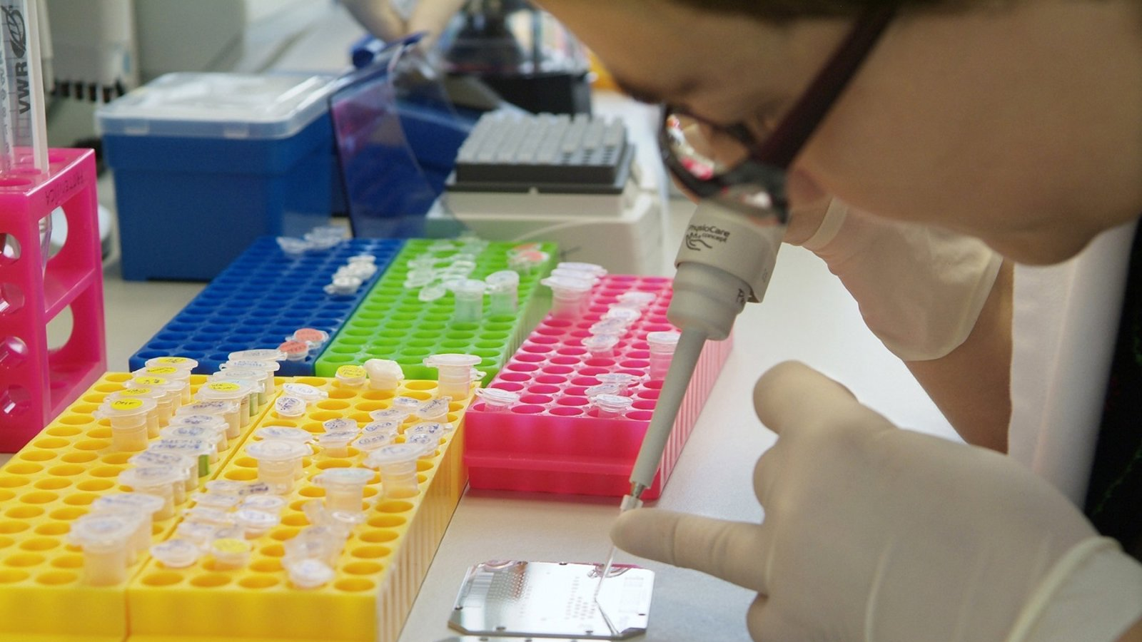 Madrid convoca los Premios de Investigación 2026 con ayudas de hasta 42.000 euros