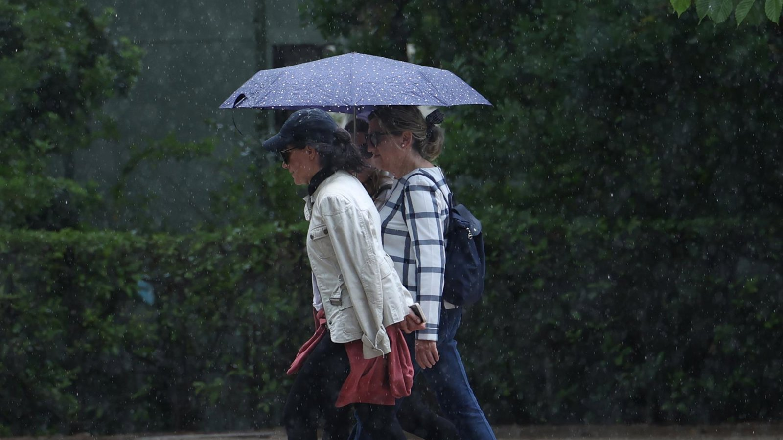 Aviso amarillo por lluvias y tormentas en toda la Comunidad de Madrid