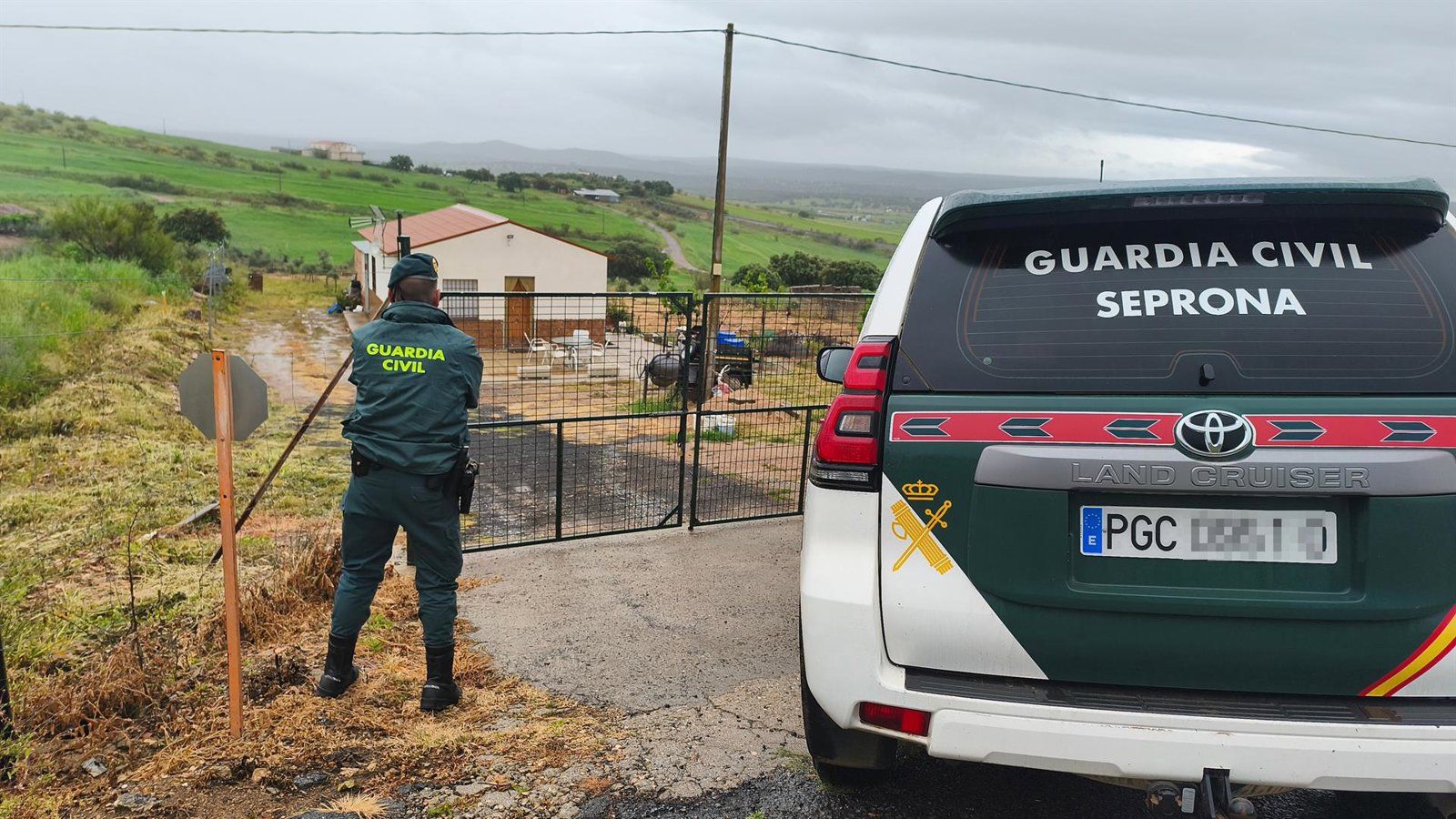 La Guardia Civil incauta en Paracuellos del Jarama siete jilgueros y 11 tortugas protegidas y traslada los animales al CRAS