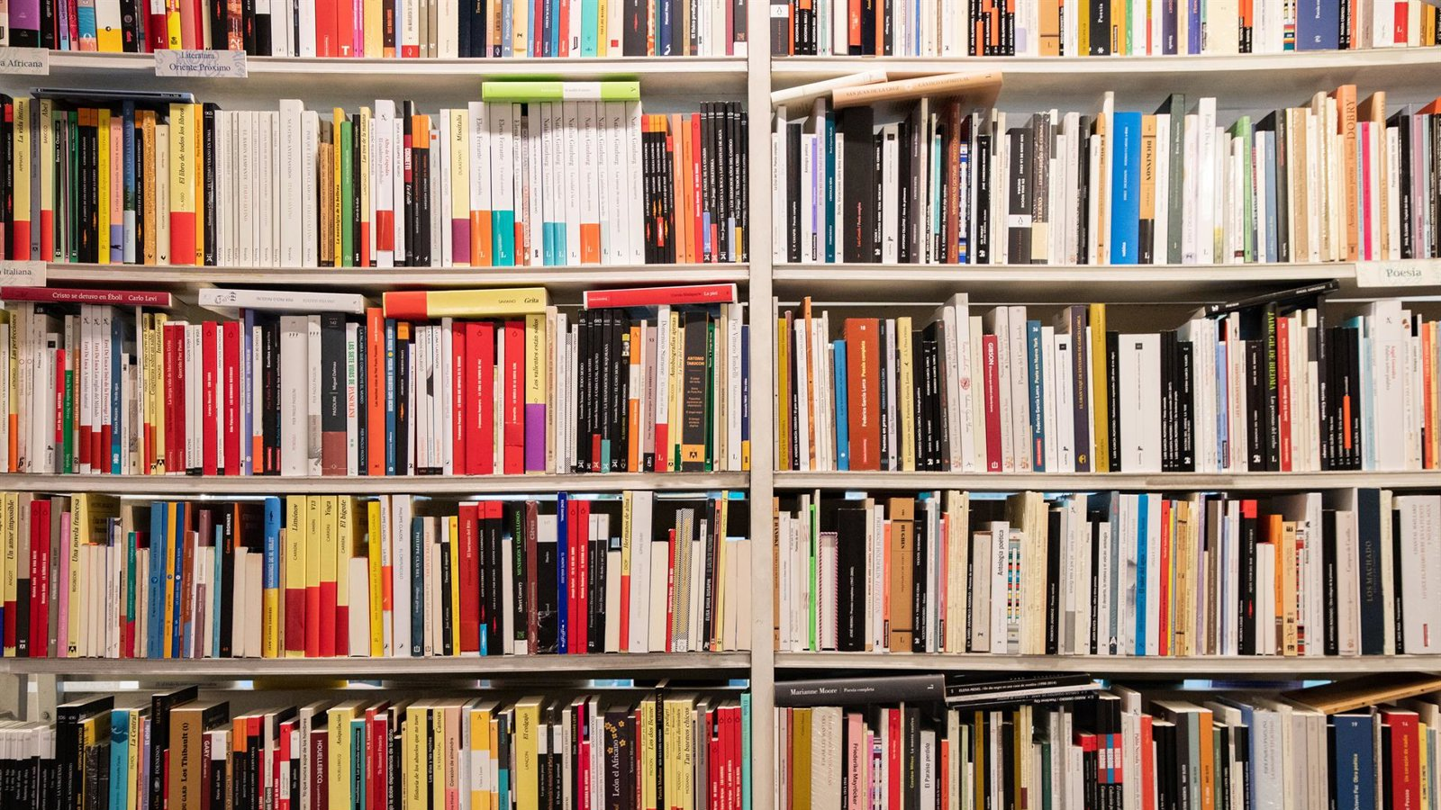 LibroMad se despide en la Plaza de España con una gran lectura colectiva y encuentros con escritores