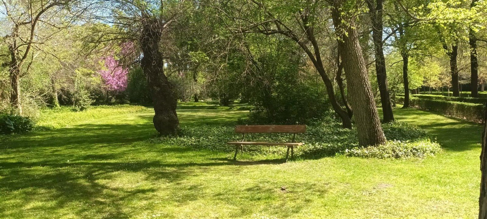 Madrid estudia abrir el parque El Capricho entre semana con acceso limitado a 150 o 200 visitantes