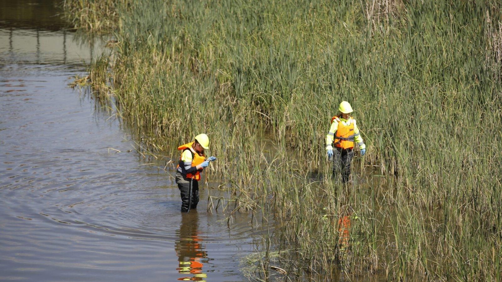 Madrid activa la campaña contra la mosca negra en el Manzanares