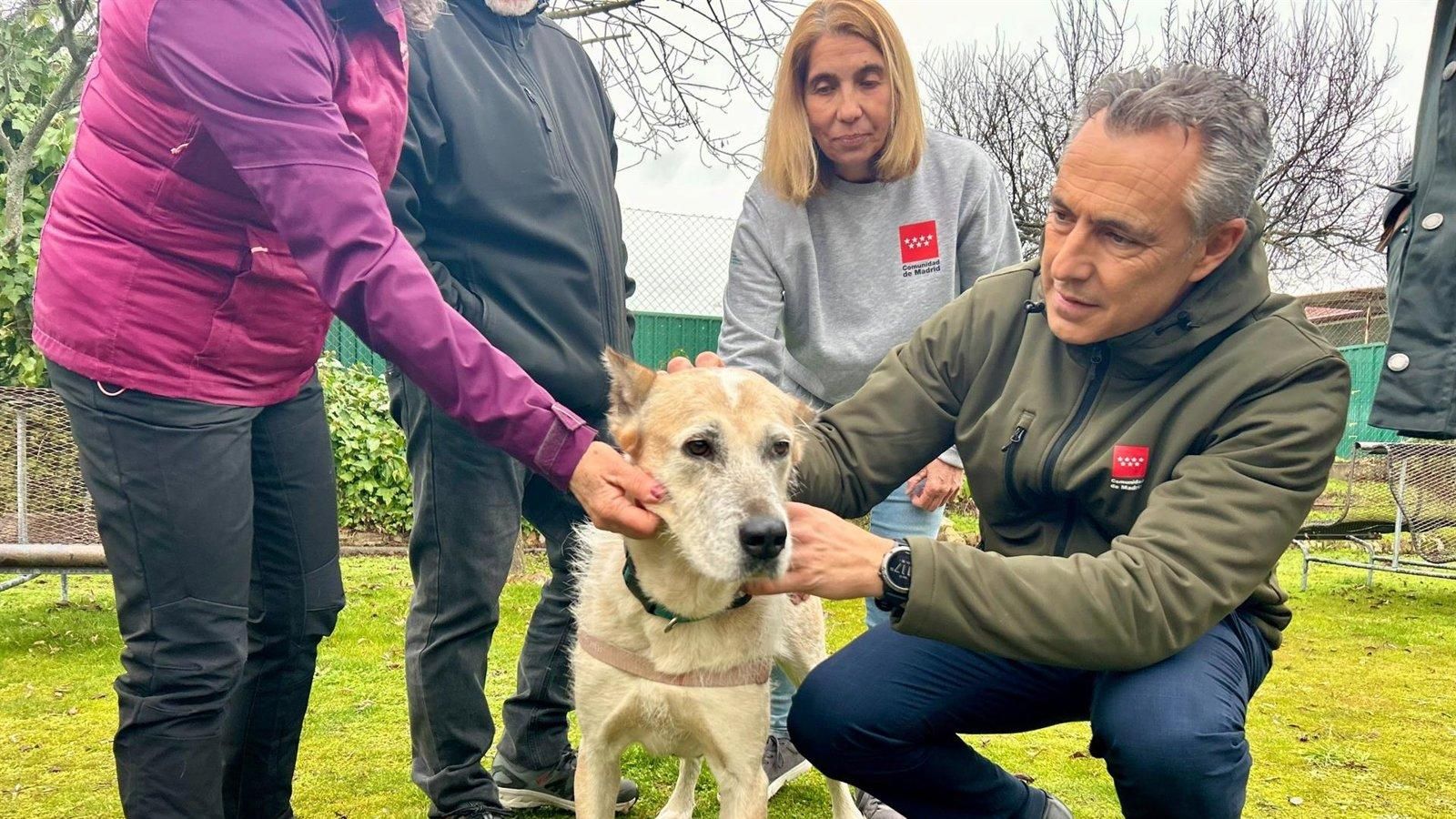 La Comunidad de Madrid ampliará antes de verano el centro de acogida de animales