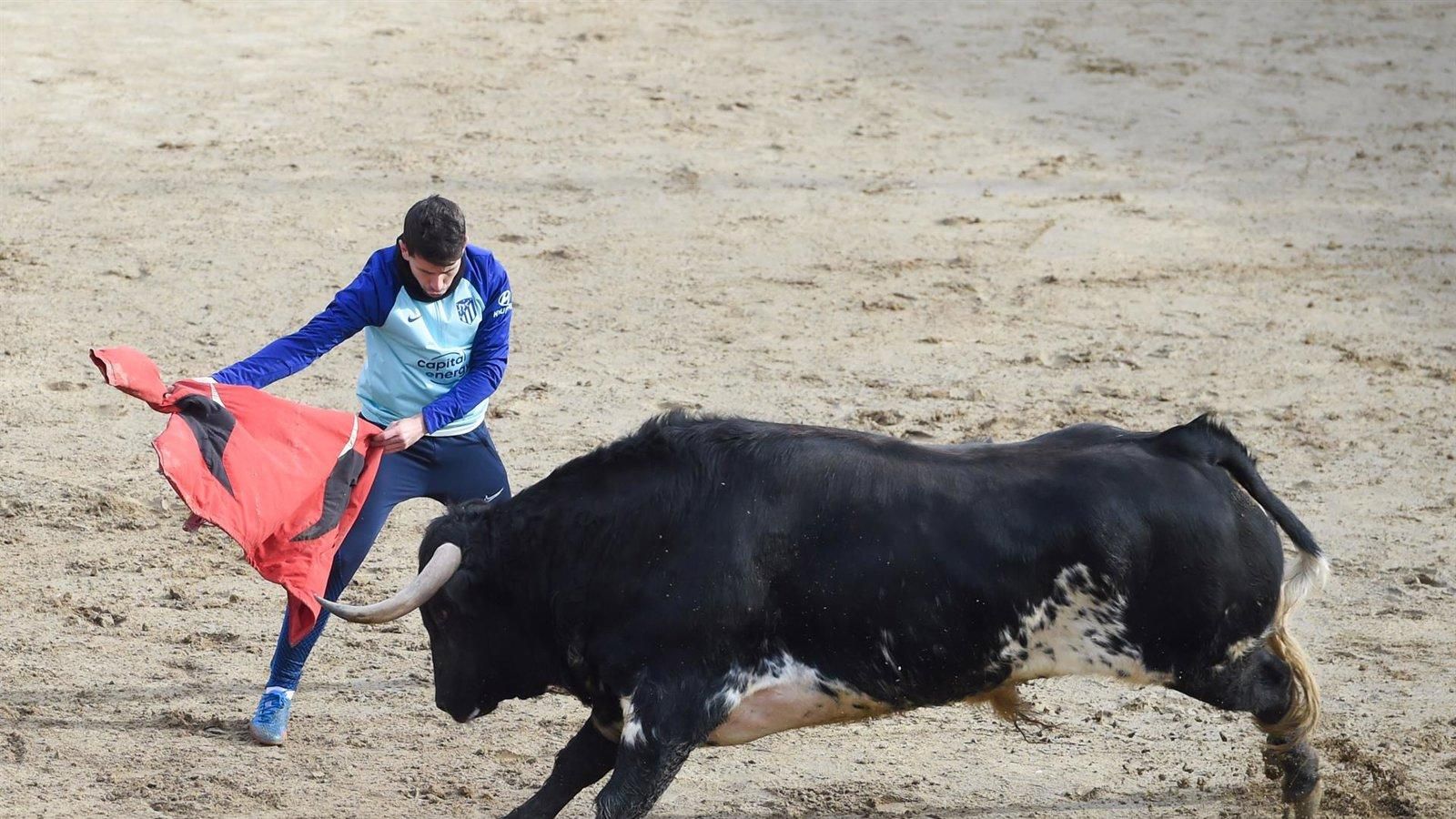 La Comunidad lanza 'La Trilla de Oro', un certamen taurino para jóvenes novilleros en nueve municipios