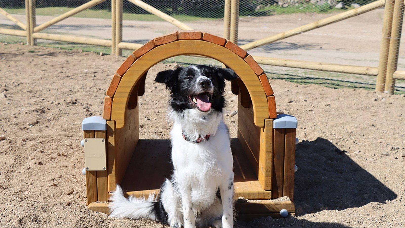 Galapagar reabre el espacio canino de El Toril tras su renovación