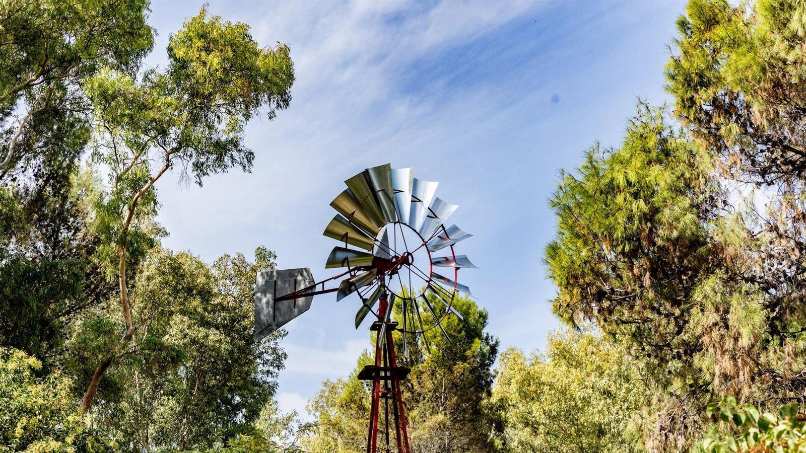 La Casa del Reloj acoge una exposición por el centenario de la Quinta de los Molinos hasta el 17 de mayo