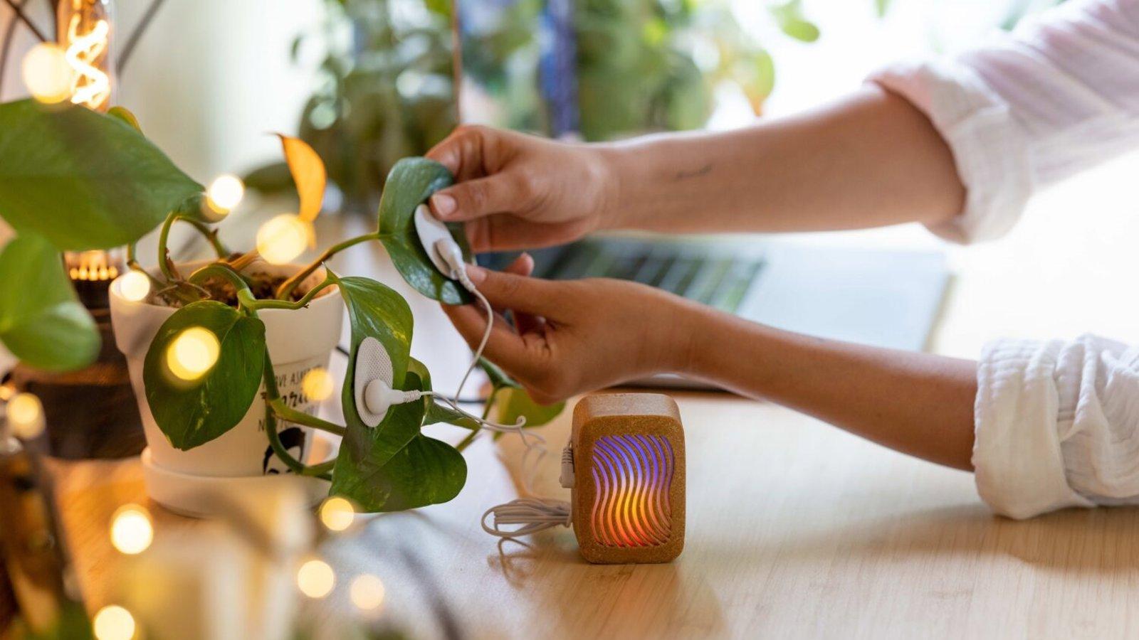 Matadero Madrid acoge Biophest con más de 30 actividades sobre naturaleza y arte