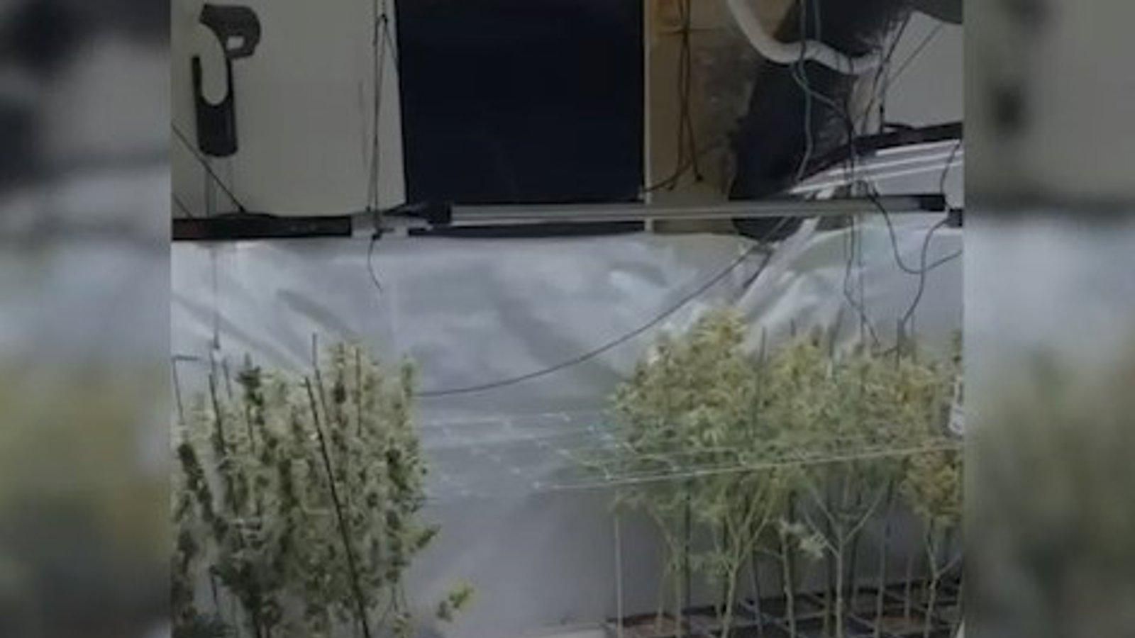 La Guardia Civil desmantela una red de marihuana en el norte de Madrid con catorce detenidos