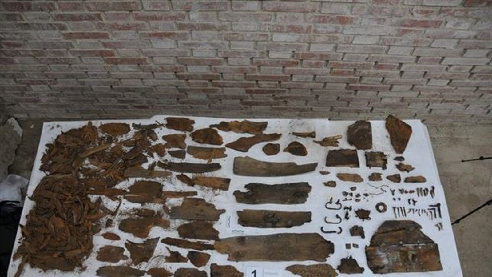 El misterio de los restos de Cervantes: identificados sin ADN y enterrados en las Trinitarias