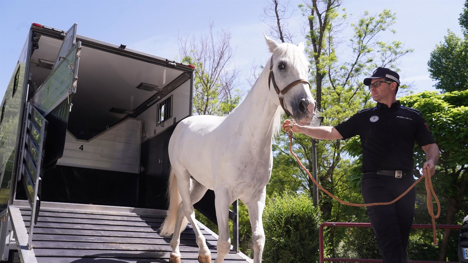La Policía Municipal compra 25 nuevos vehículos para modernizar la flota con una inyección de 2,8 millones