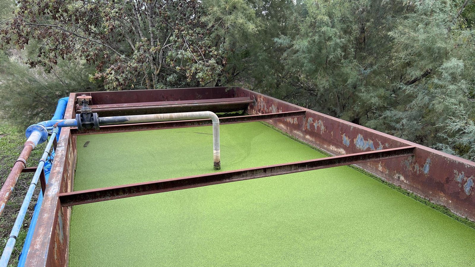 La Comunidad de Madrid aprueba un millón de euros para la investigación sobre el sector agroalimentario y forestal