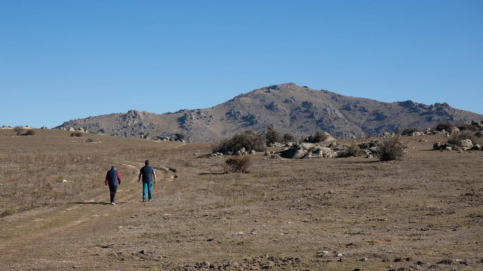 Madrid destina 500.000 euros a proyectos de patrimonio natural y biodiversidad
