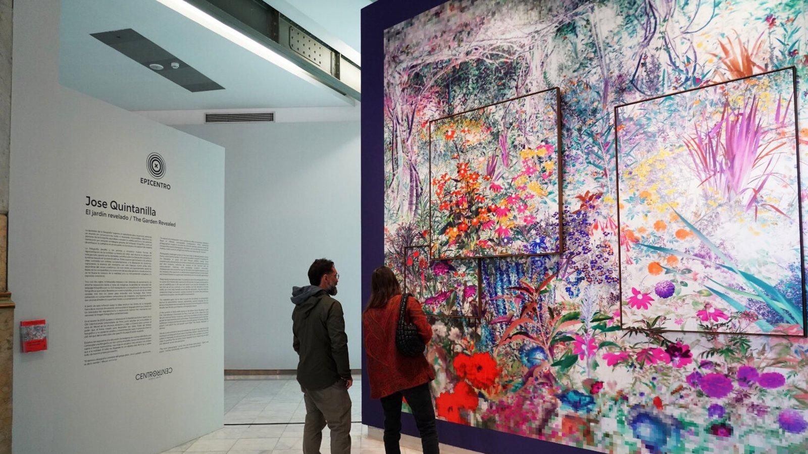 CentroCentro muestra 'El jardín revelado' de Jose Quintanilla hasta el 28 de junio