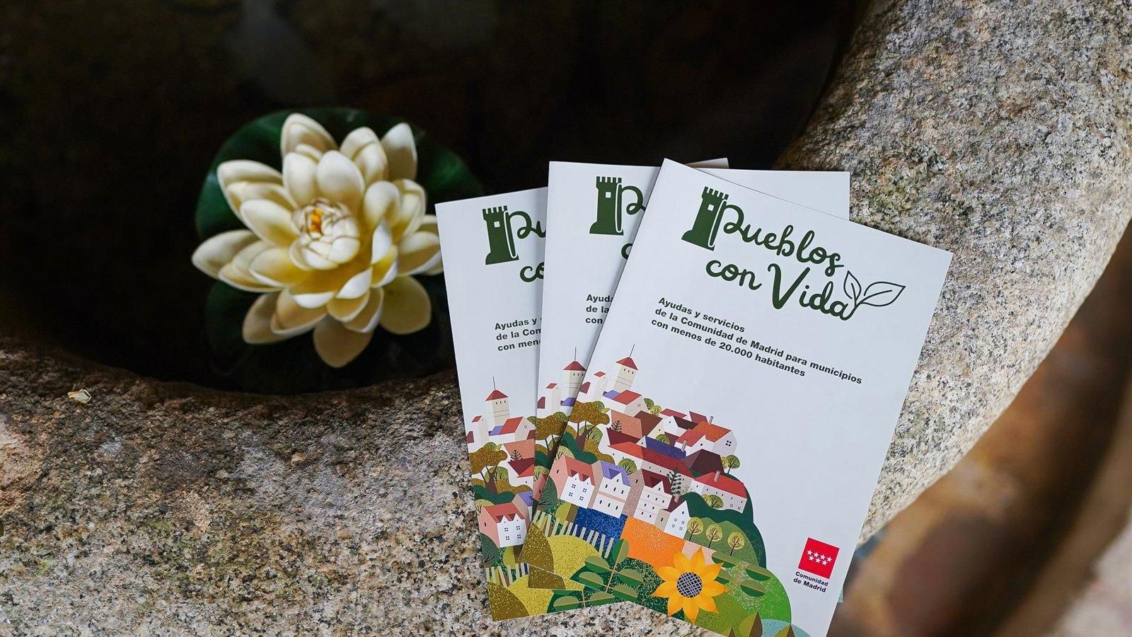 La Comunidad premiará proyectos que dinamicen los pequeños municipios