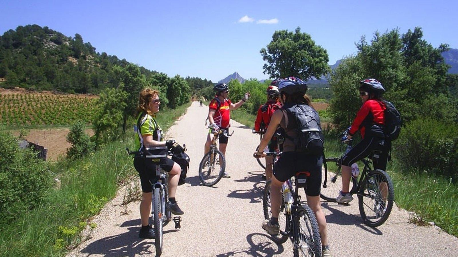 El cicloturismo crece un 17% en Madrid y gana peso entre jóvenes