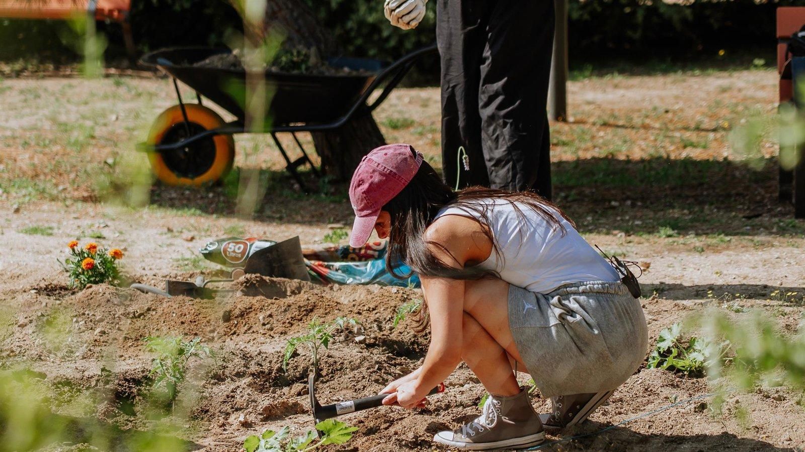 El Ayuntamiento de Las Rozas pone en marcha el programa Jardín Terapéutico en La Talaverona