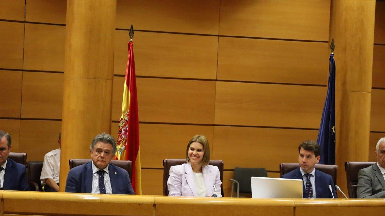 Piquet defiende en el Senado más oferta de vivienda en Alcalá