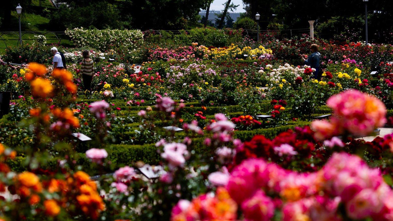Madrid tramita declarar BIC el Parque del Oeste como Jardín Histórico
