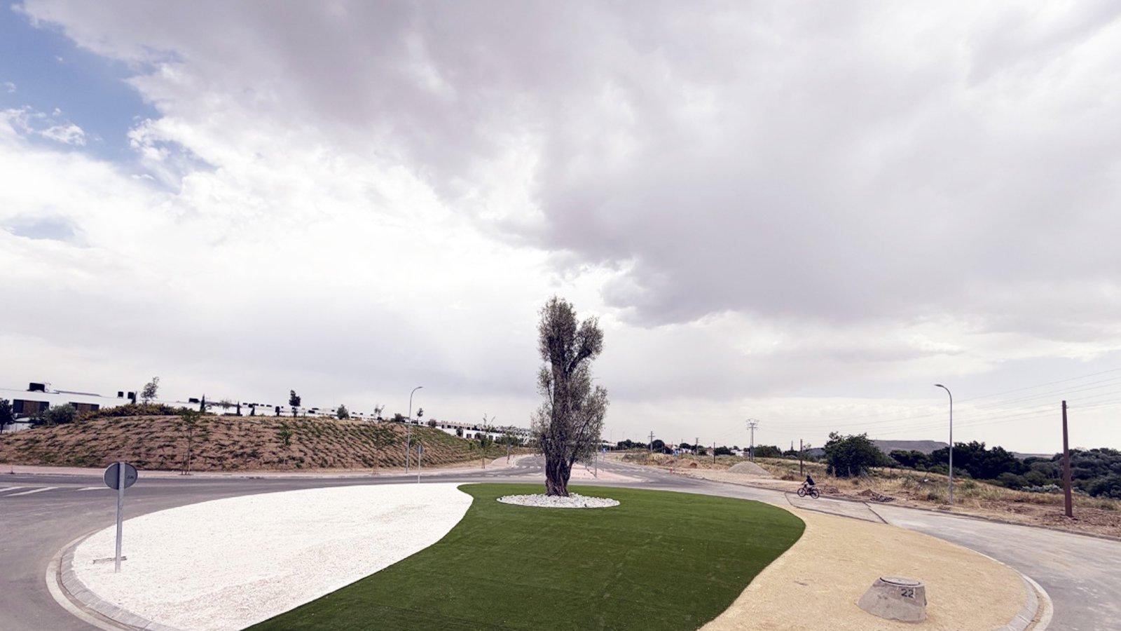 Un olivo milenario y miles de plantas transforman el paisaje de Torrejón
