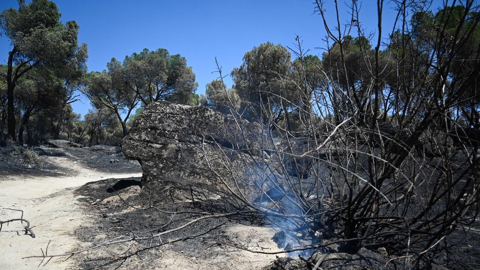 El incendio forestal de la Sierra Oeste permanece en fase de control