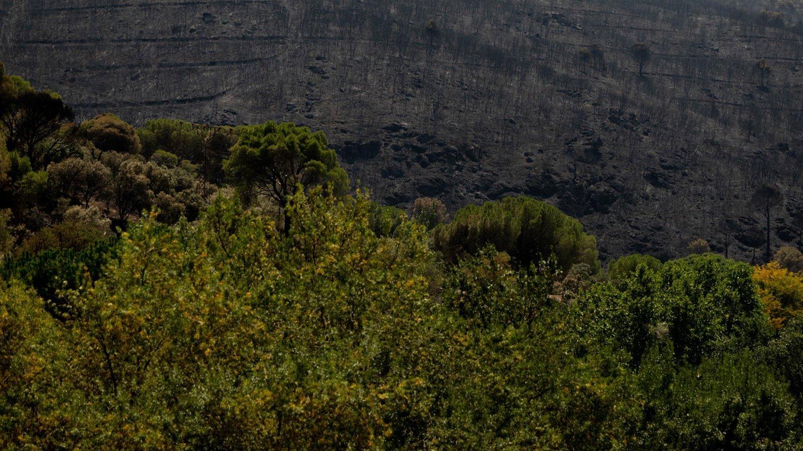 Bomberos actúan en la extinción de una reproducción del incendio en el embalse de San Juan
