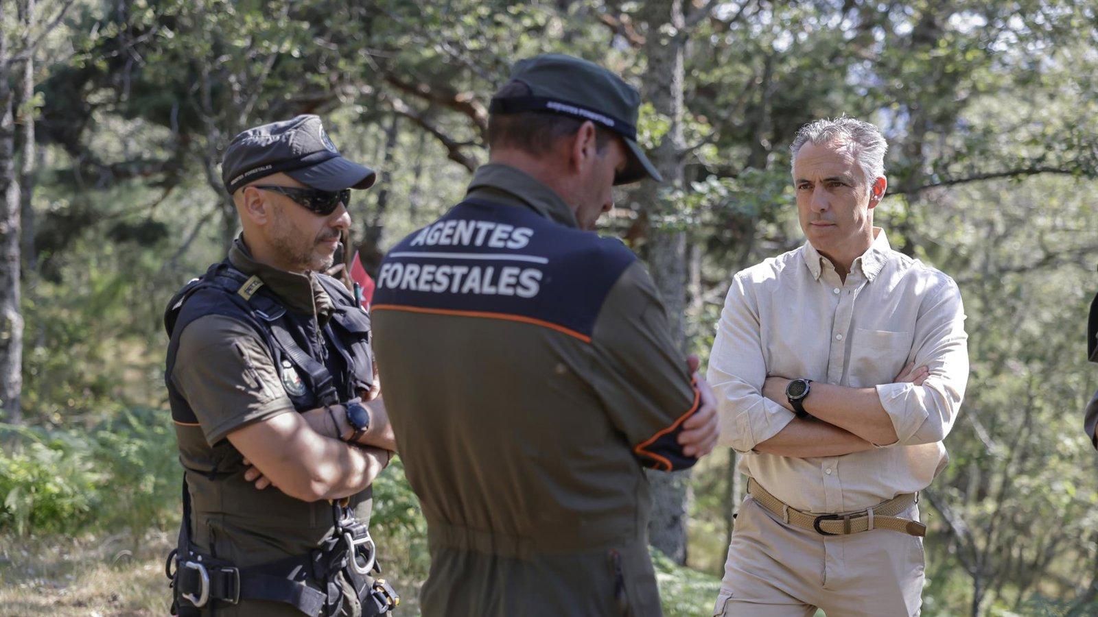 El programa de conservación del buitre negro en Madrid suma 185 parejas reproductoras