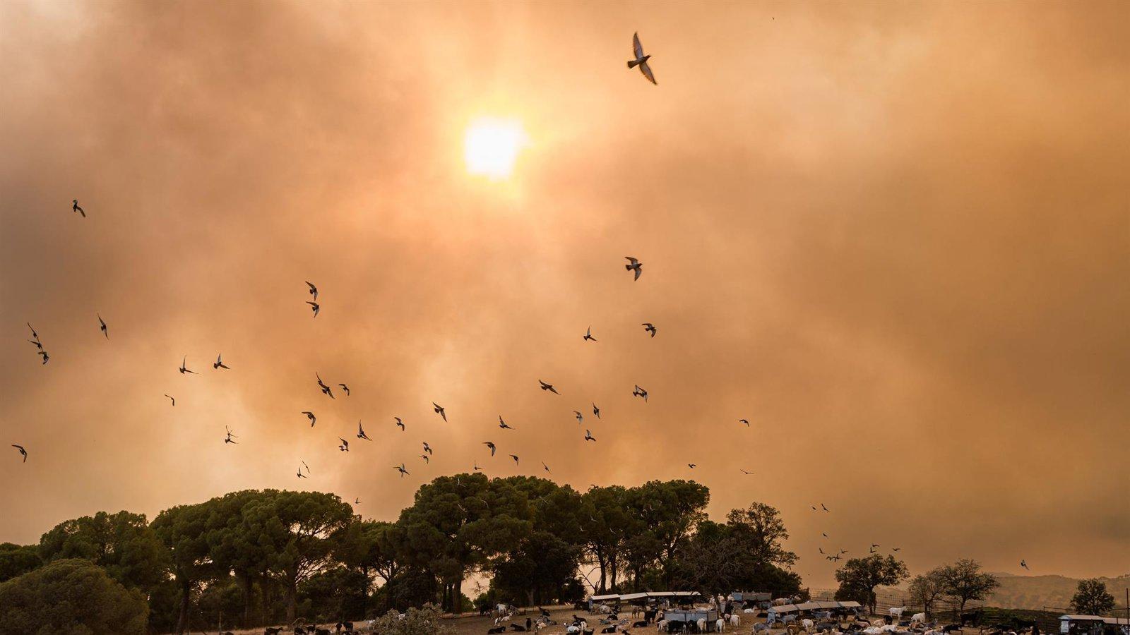 Nuevas alertas ES-Alert en San Martín y Valdemaqueda por evolución del fuego