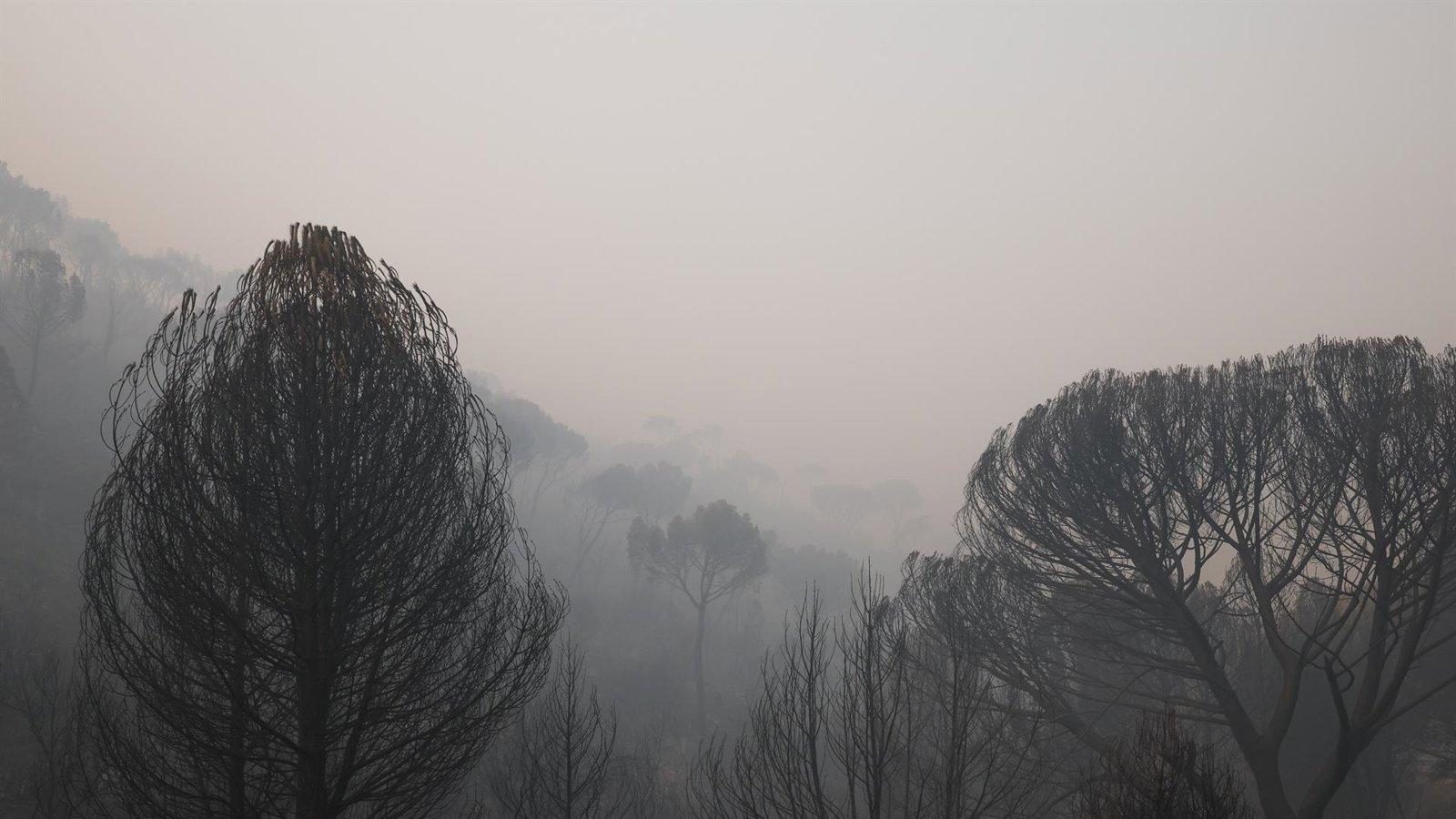 El País Vasco envía 18 vehículos y 42 efectivos para la extinción de los incendios