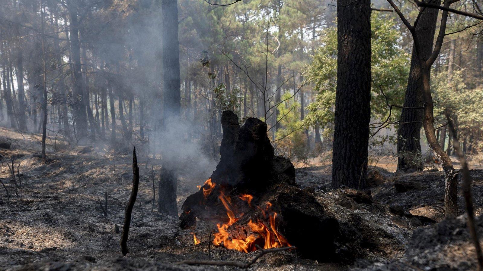 El dispositivo de extinción evita que el incendio alcance Valdemaqueda