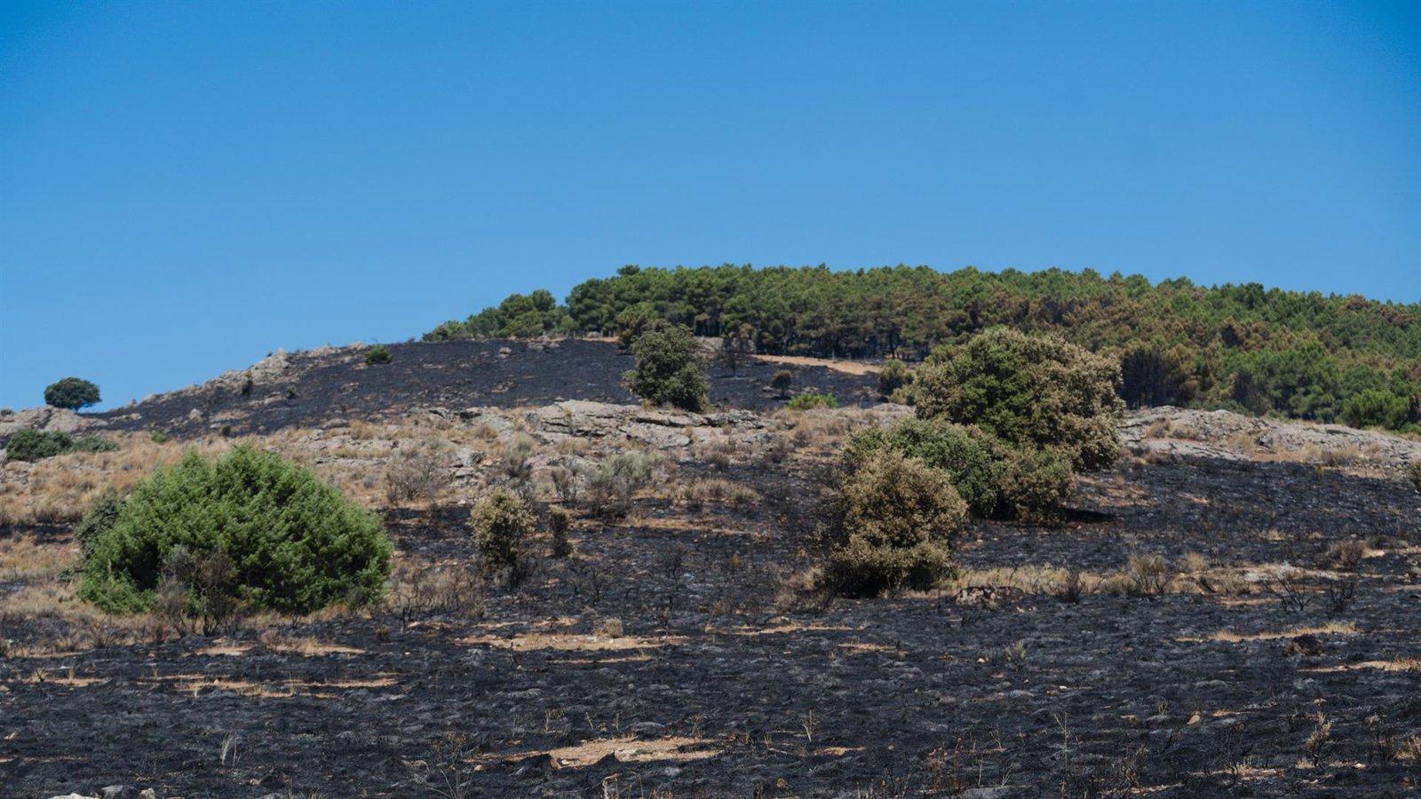 Los servicios de extinción controlan el incendio junto a Lozoyuela y cortan la M-126