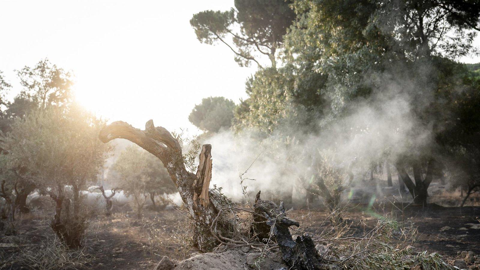 Última hora: Incendio presenta tres frentes; el más intenso rodea Pantano de San Juan
