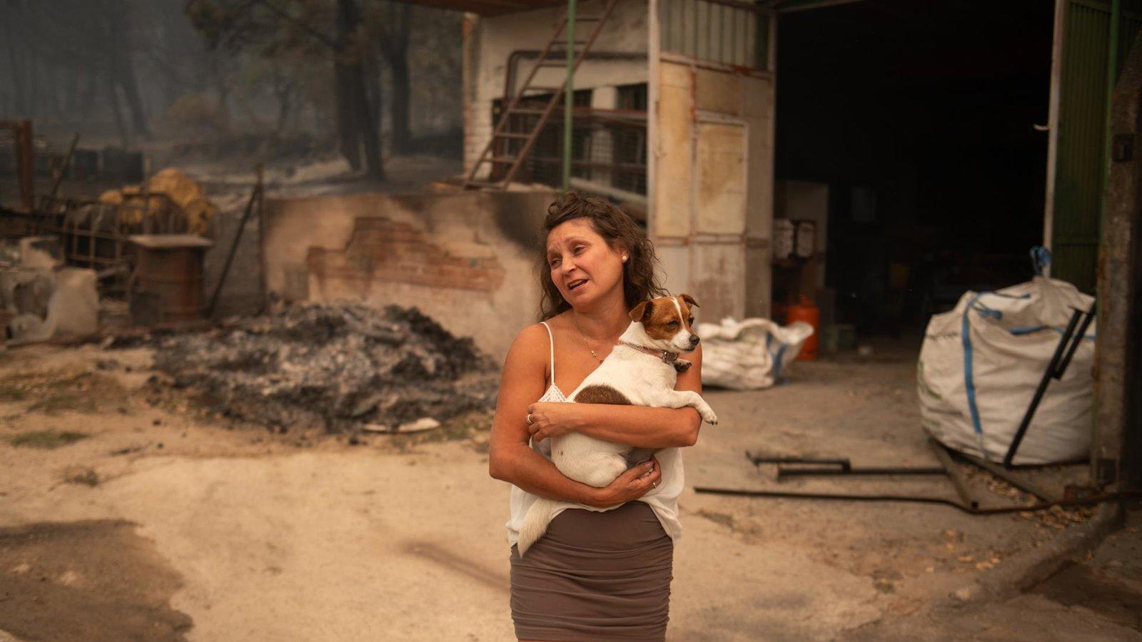 Ecologistas advierten del impacto "descomunal" de los incendios en la naturaleza