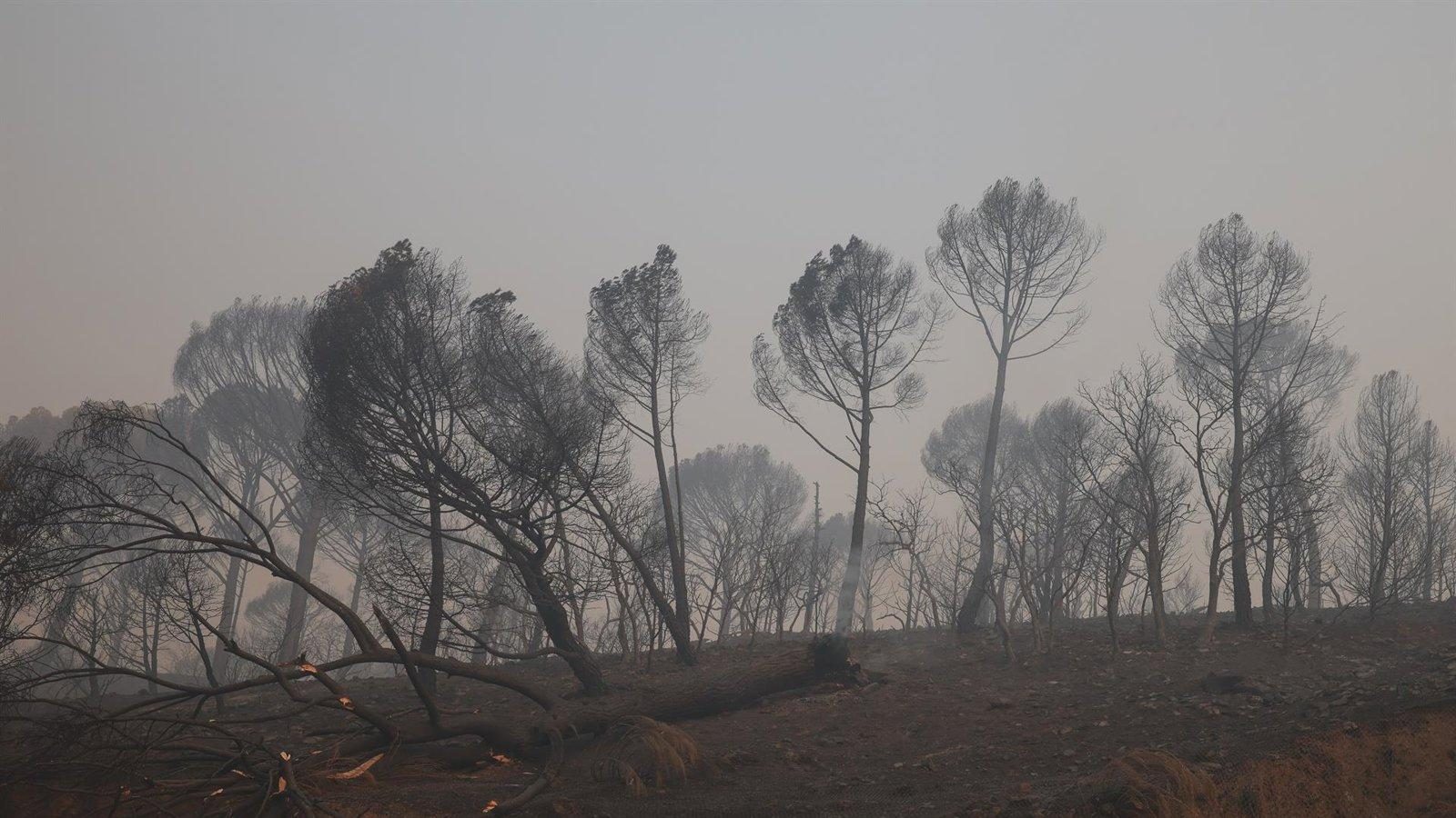 El Ministerio del Interior confina Santa María de la Alameda con un EsAlert por el incendio