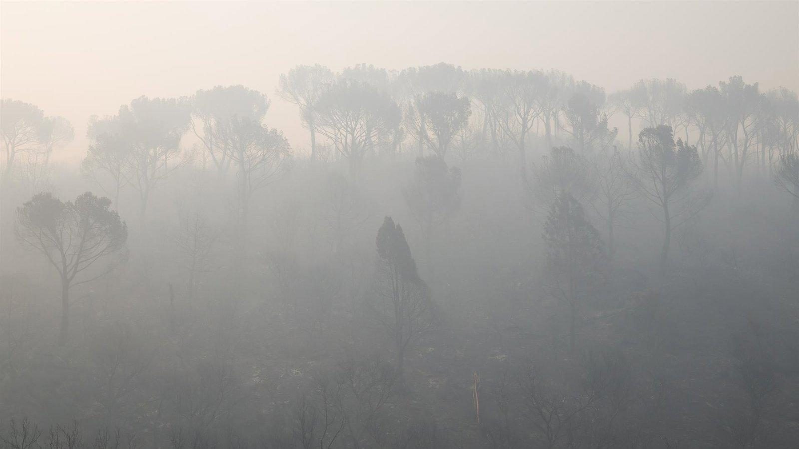 Valdemaqueda evacuada por el avance del incendio de la Sierra Oeste